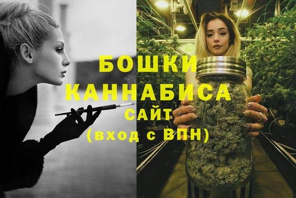 кокс Касимов