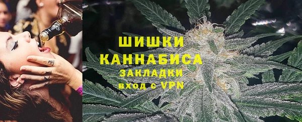 кокс Касимов
