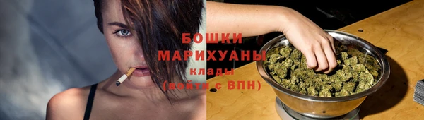 кокс Касимов