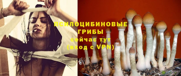 тгк Карпинск