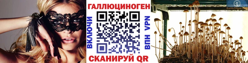Псилоцибиновые грибы прущие грибы  Купить  Зуевка 